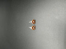 Load image into Gallery viewer, Brown Flower Studs