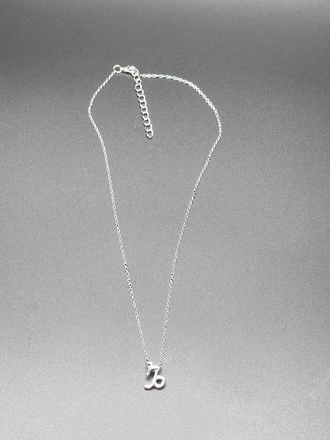 Silver Capricorn Necklace