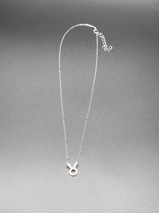 Silver Taurus Necklace